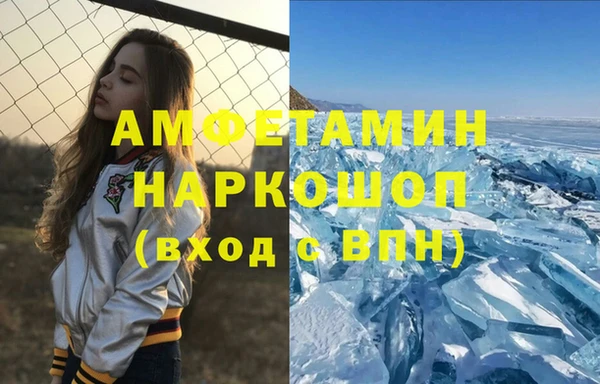 индика Белокуриха