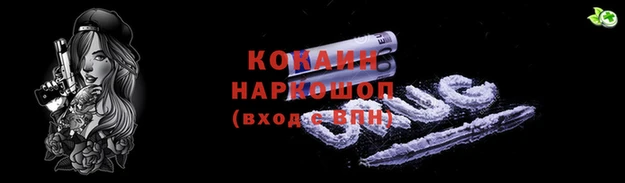 хмурый Бородино