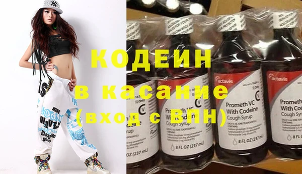 хмурый Бородино