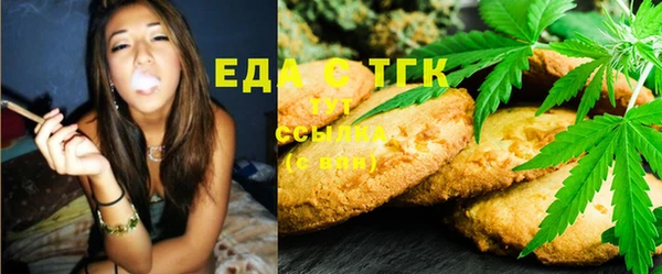 хмурый Бородино