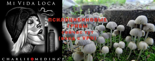 индика Белокуриха