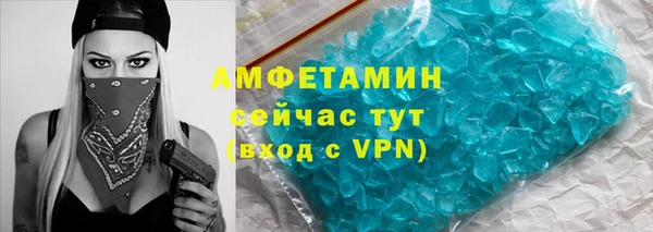 индика Белокуриха