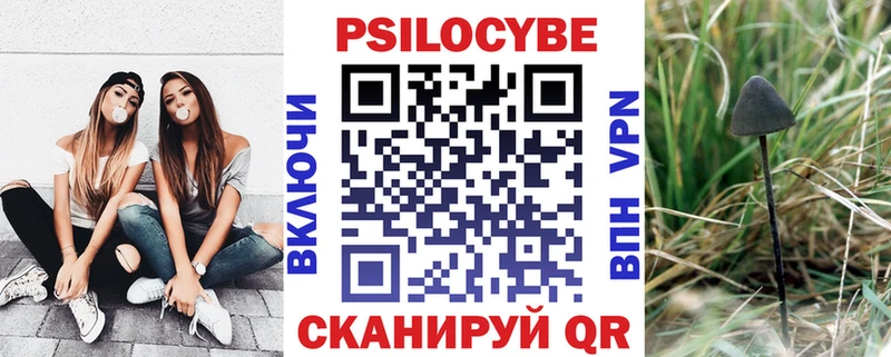 Галлюциногенные грибы GOLDEN TEACHER  Гремячинск 